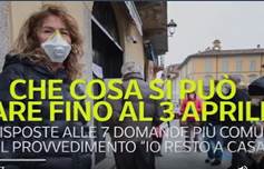 Grafica (ANSA)