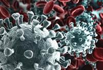 Risultato immagini per coronavirus