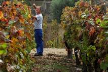 Italia prima in Ue per valore e lavoro