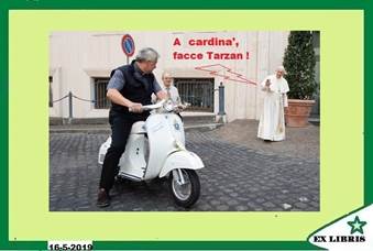 Cardina' Tarzan