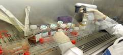Ricercatore italiano Oxford: Qui rischio replica nostra epidemia