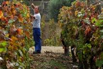 Italia prima in Ue per valore e lavoro