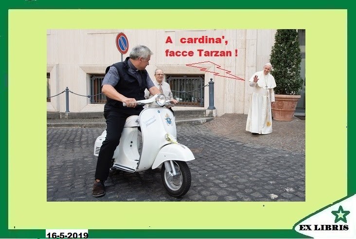 Cardina' Tarzan