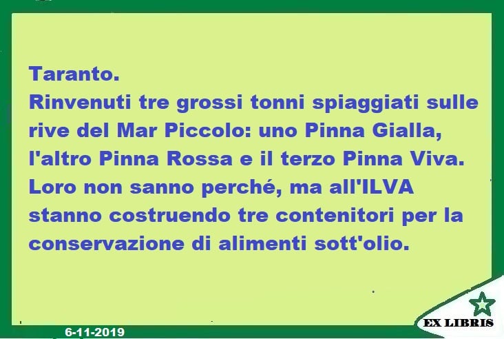 Tonni Ilva