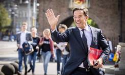 come olanda diventata paradiso fiscale