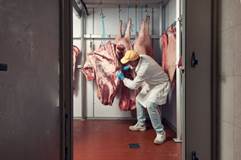 Butcher cutting out big piece of meat on