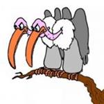 https://external-mxp1-1.xx.fbcdn.net/safe_image.php?d=AQAJlpw0z5lXe-A-&w=150&h=150&url=https%3A%2F%2Fwww.ilrisparmiotradito.it%2Ffiles%2Fnode%2Fitem%2F421%2Ff450.medium.jpg&cfs=1&_nc_hash=AQDufyeruR_ccT1p