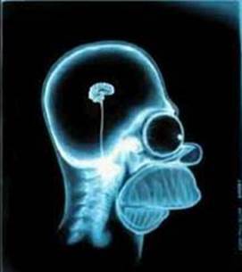 Descrizione: Descrizione: Descrizione: Descrizione: Descrizione: Descrizione: http://www.mauronovelli.it/Ictus8_file/image011.jpg